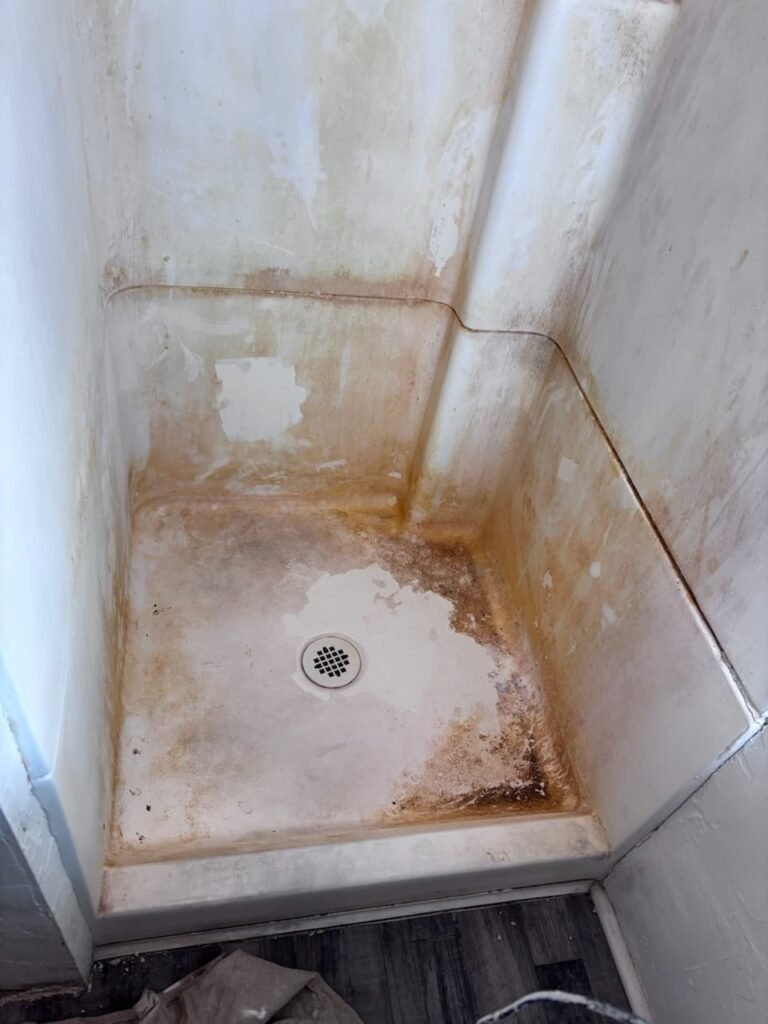 whatsapp image 2026 01 19 at 8.24.05 pm