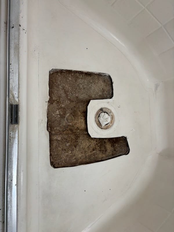 whatsapp image 2026 01 19 at 8.38.36 pm