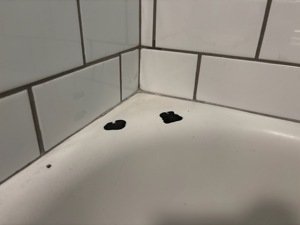 whatsapp image 2026 01 19 at 9.14.17 pm (1)