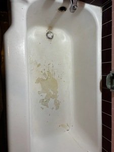 whatsapp image 2026 01 19 at 9.19.55 pm (1)