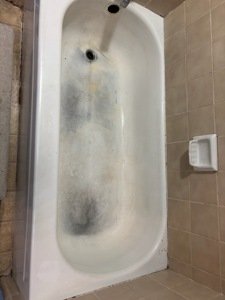 whatsapp image 2026 01 19 at 9.19.55 pm